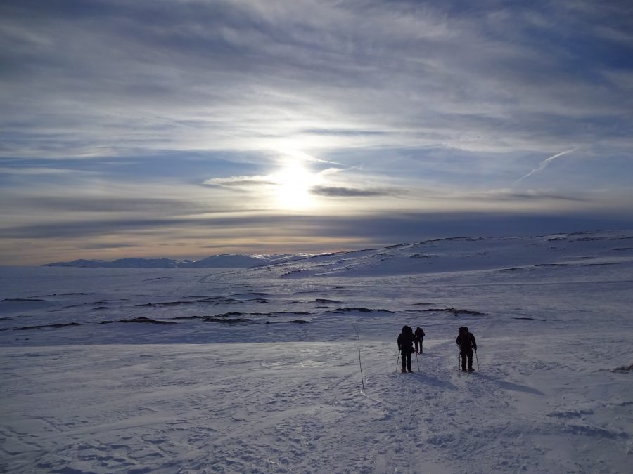 Een groepje cursisten met dagrugzak lopen op sneeuwschoenen en met wandelstokken door een verlaten sneeuwlandschap in Noorwegen tijdens een Huttentocht van Northern Pioneers.