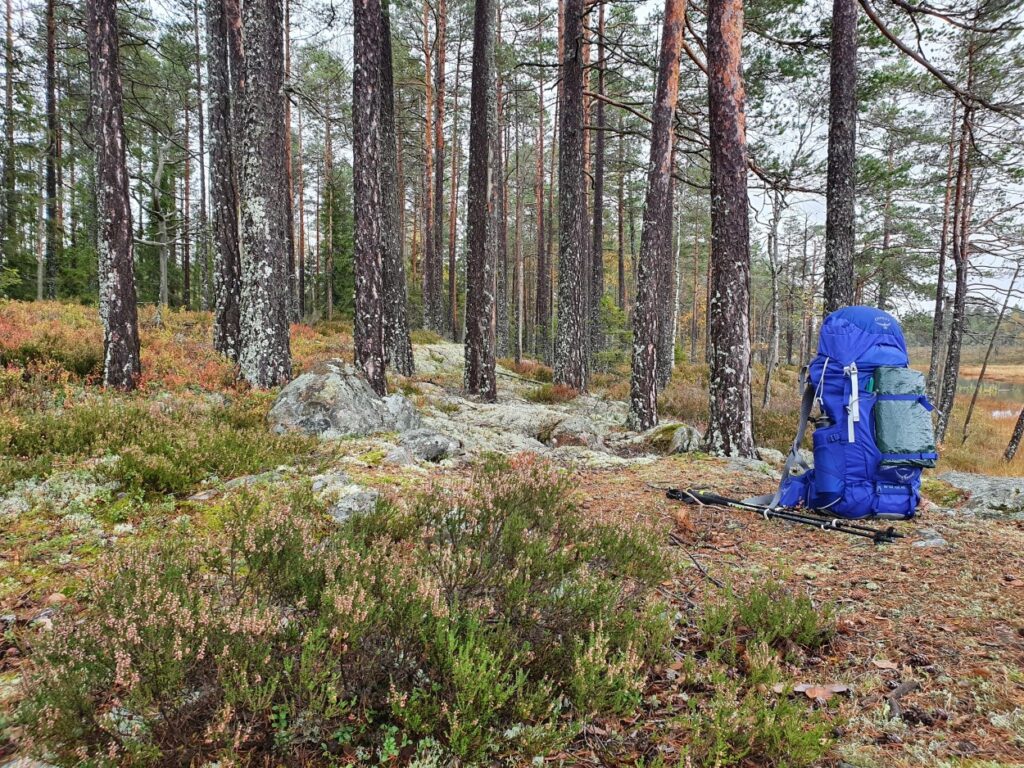 Blauwe rugzak in de bossen van Zweden tijdens solotrekking