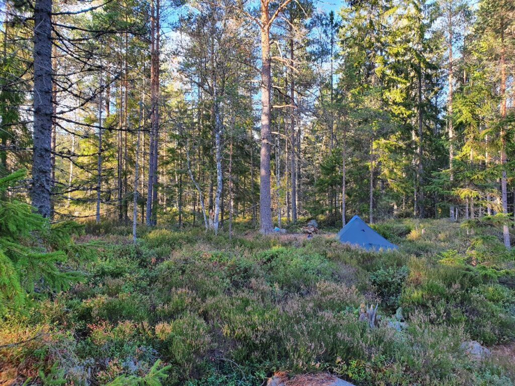 Tarp geplaatst in bos tijdens solotrekking in Zweden