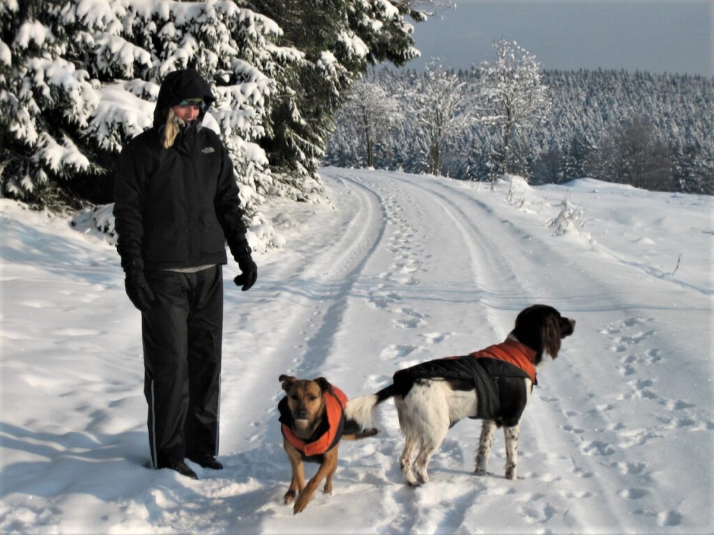 Samen met de honden genieten van de sneeuw en het uitzicht