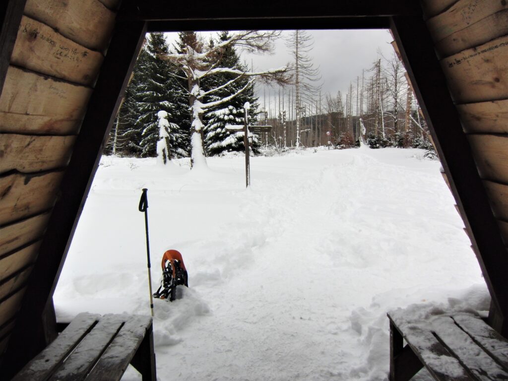 uitzicht op besneeuwd bos en sneeuwschoenen vanuit hutje
