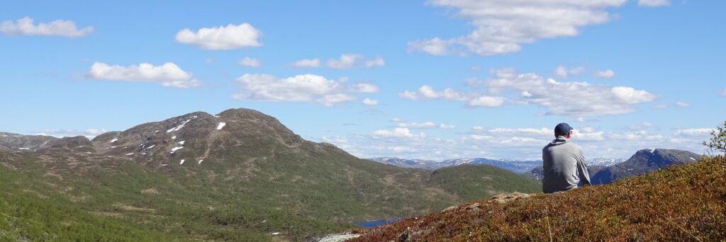 Uitzicht berglandschap Noorwegen