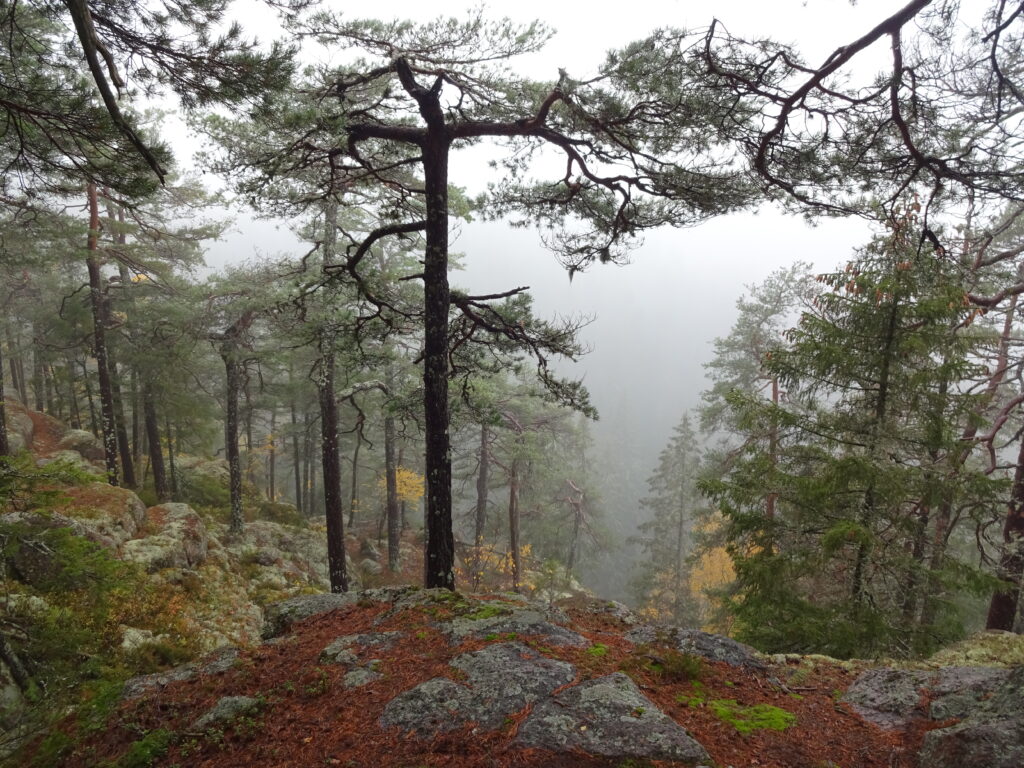 Een gevaarlijke afgrond in de mist tijdens een trektocht door de wildernis van Zweden