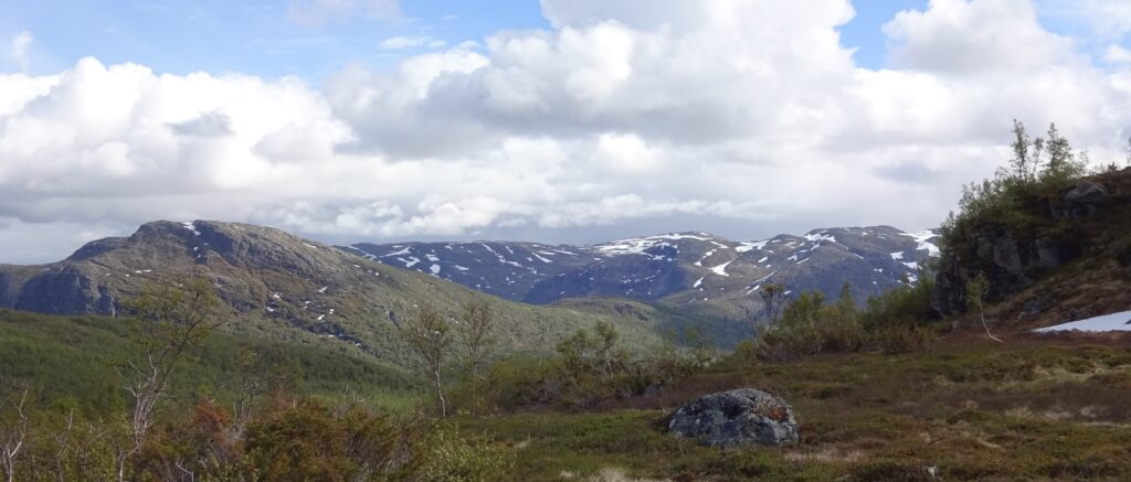 wandelen door de wildernis in Zuid-Noorwegen in de zomer.