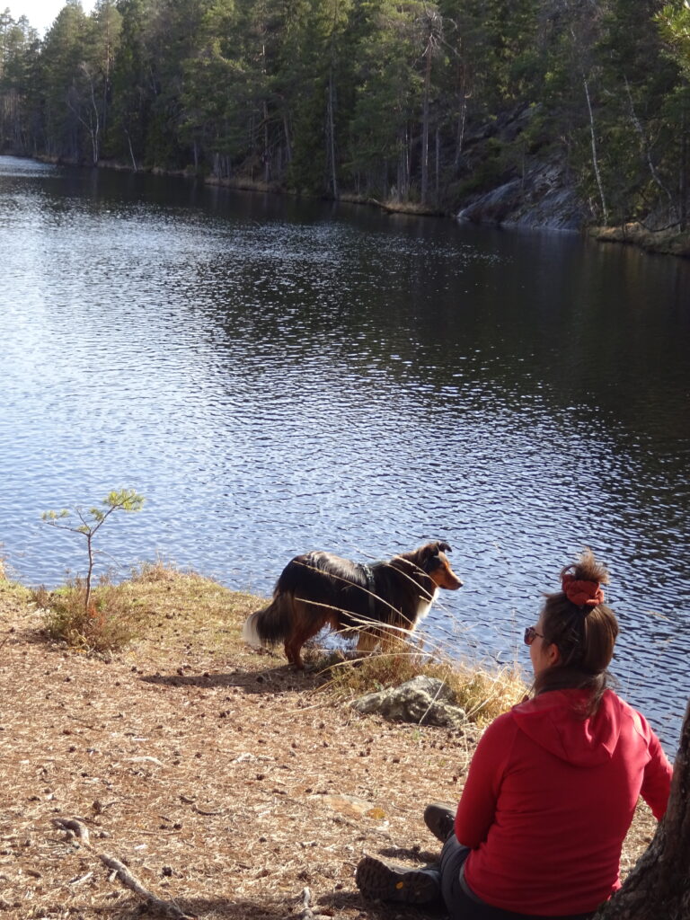 Uitrusten in het zonnetje tijdens het hiken met je hond met Northern Pioneers