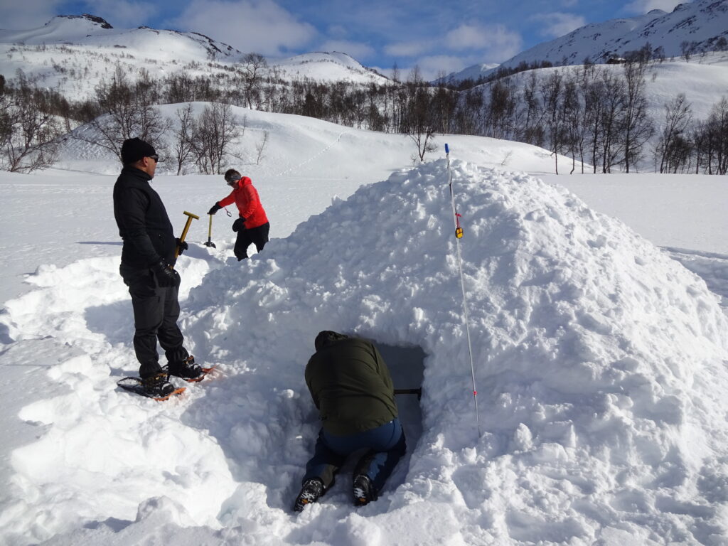 Een quinzee of sneeuwhut graven om overlevingstechnieken in de winter te leren.