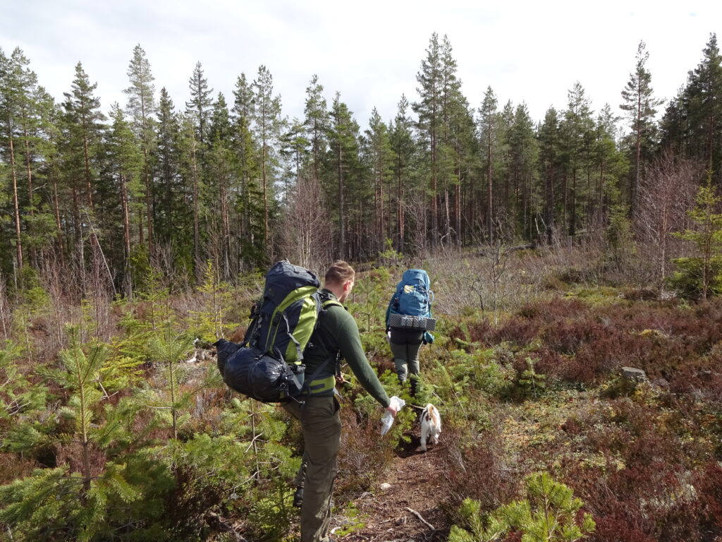 Hiken in de wildernis van Zweden met je hond