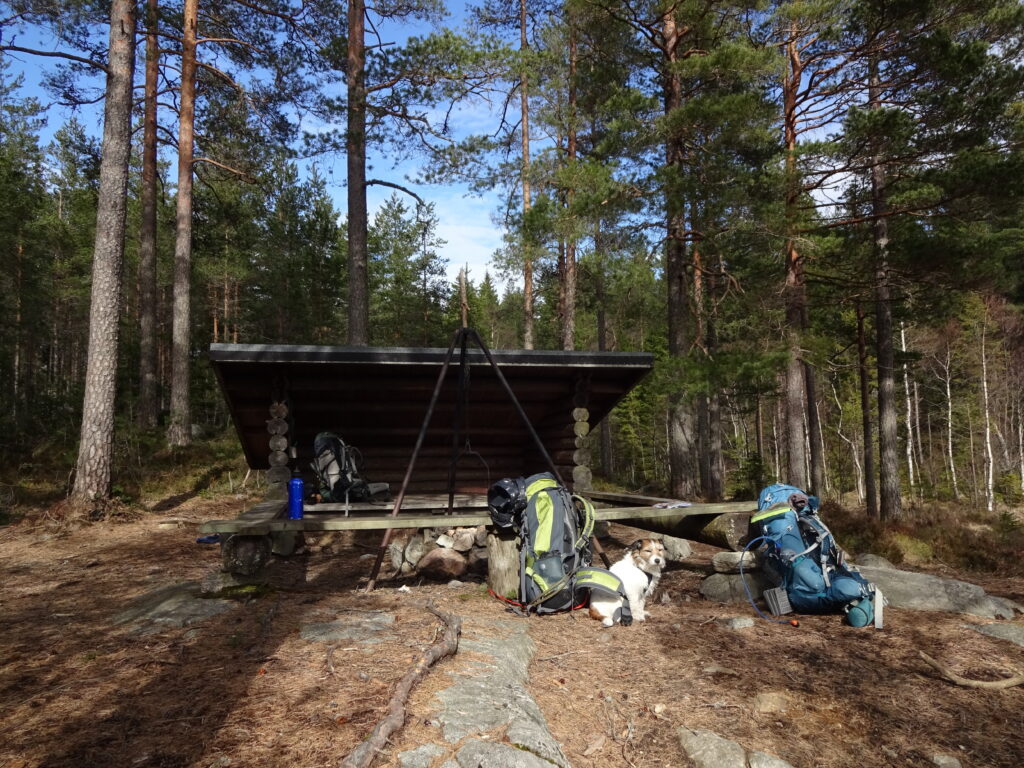 Schuilhut in de Zweedse wildernis tijdens een trekking met hond