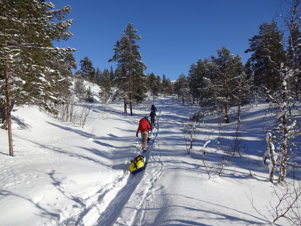 Wintertraining met survival en sneeuwschoenwandelen voor pulkatrekking