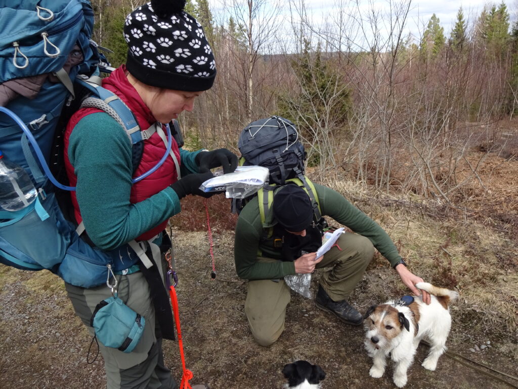 Leren navigeren op trektocht met je hond