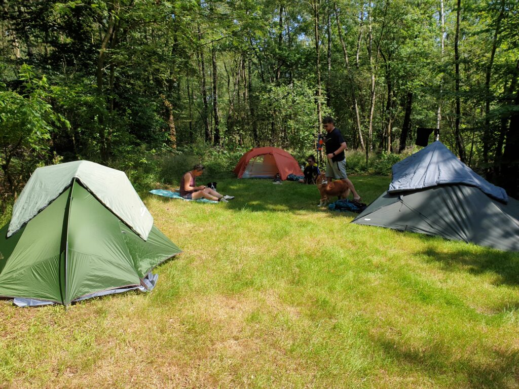 Kamperen bij de cursus Trekking met hond 2025