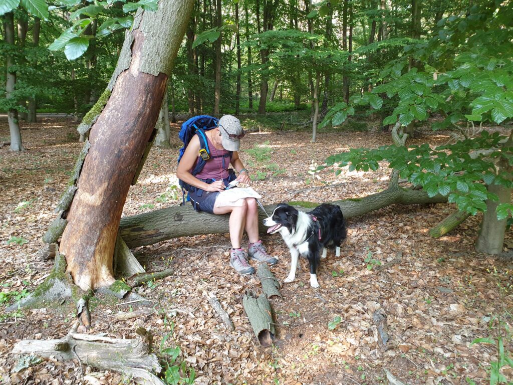 Leren werken met kaart, kompas, gps en coördinaten bij de cursus Trekking en kamperen met je hond 2025