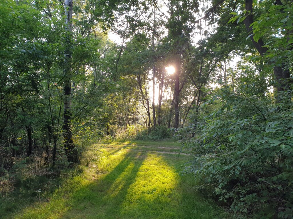 Zonsopkomst op de camping in Vasse bij de cursus Trekking met hond 2025