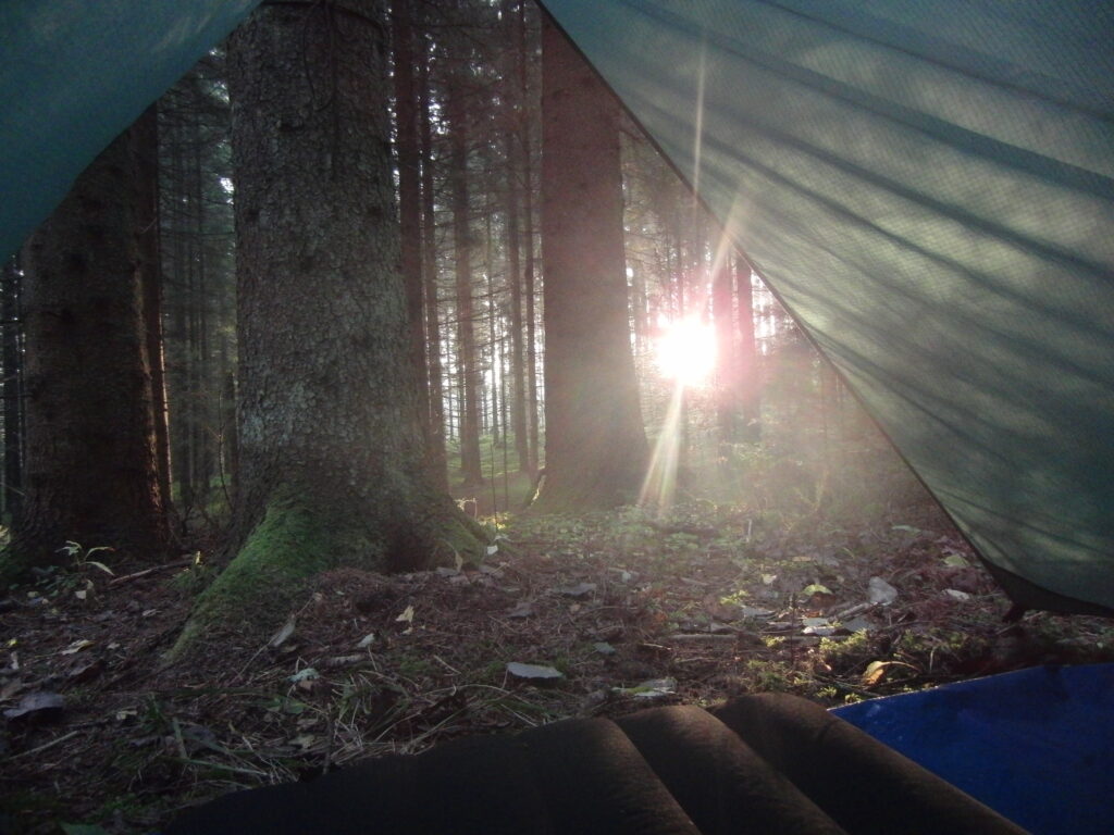 Leer kamperen in een verlaten bos