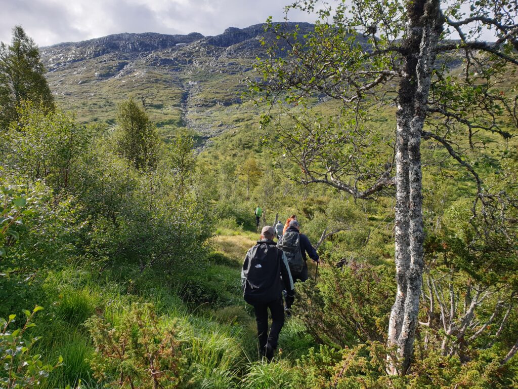Off-trail dagwandelingen in Noorwegen met Northern Pioneers