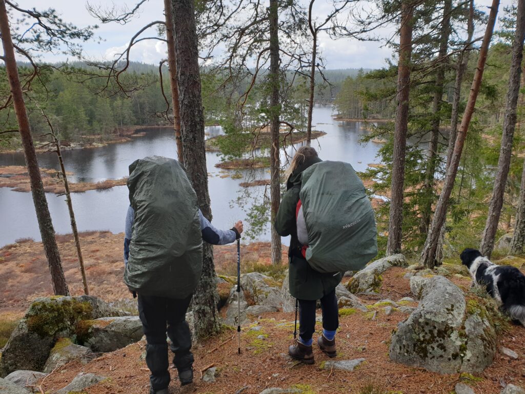 wildernistrektocht zweden met Northern Pioneers