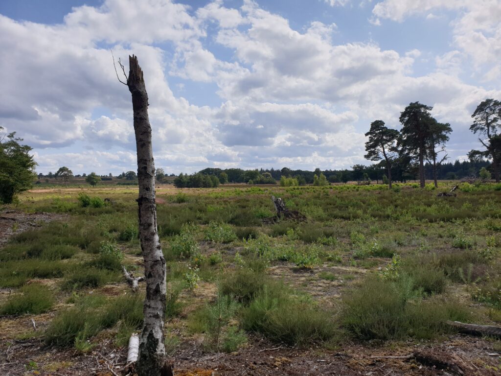 Trektocht over heide met Northern Pioneers