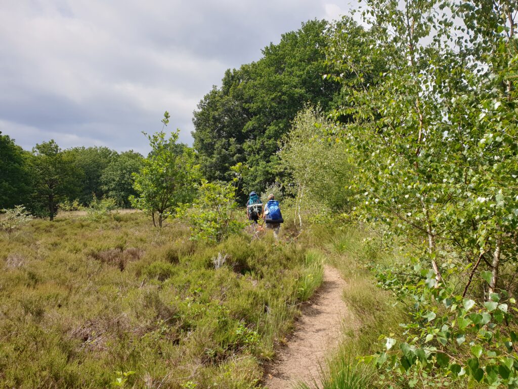 Trektocht voor beginners in Nederland