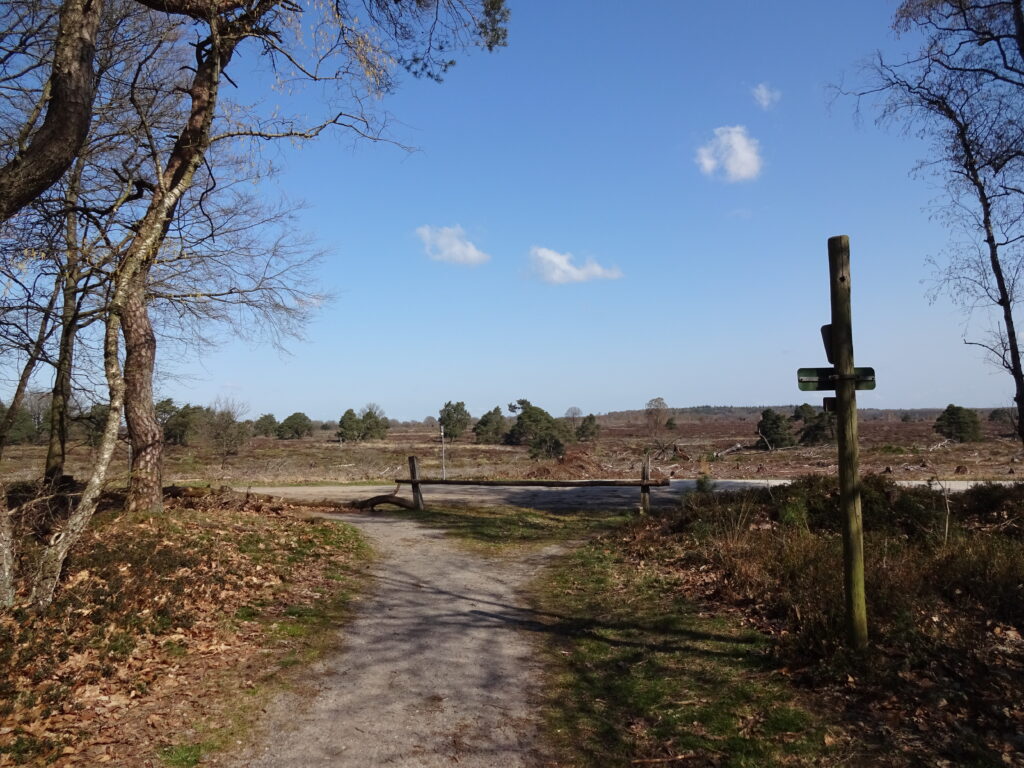 Wandelpaden op de Sallandse Heuvelrug