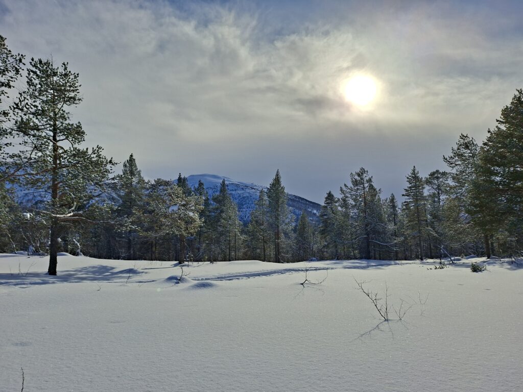 Wintertraining in de Noorse bergen met Northern Pioneers