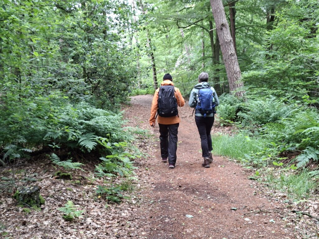Hiken door de bossen tijdens een trektochttraining