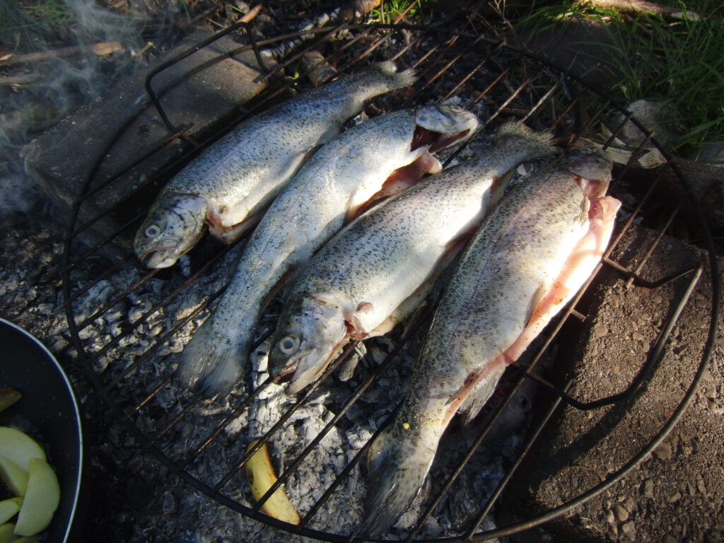 Forel bakken op het kampvuur