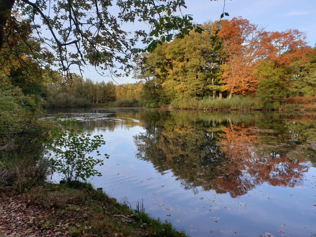Hoe meer je weet van de natuur hoe leuker de wandeling