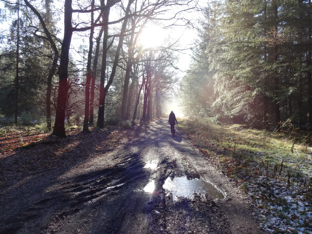 Een individuele trektochttraining door de bossen van de Sallandse Heuvelrug