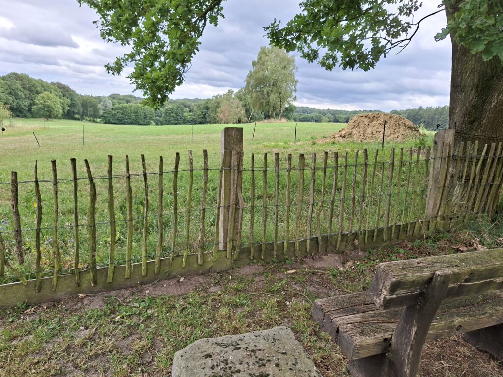 Stiltewandeling in Twente Vasse