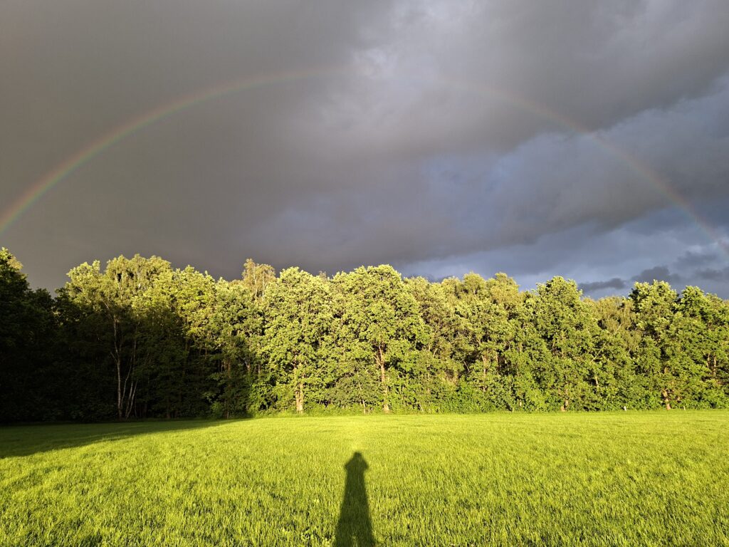 Stiltewandelingen in Vasse Twente